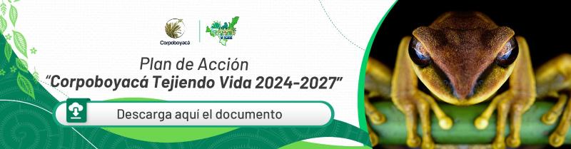 Conocer el Plan de Acción