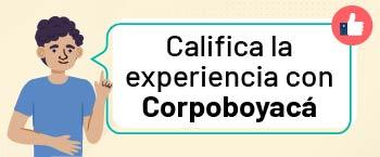 Encuesta de Experiencia del Usuario
